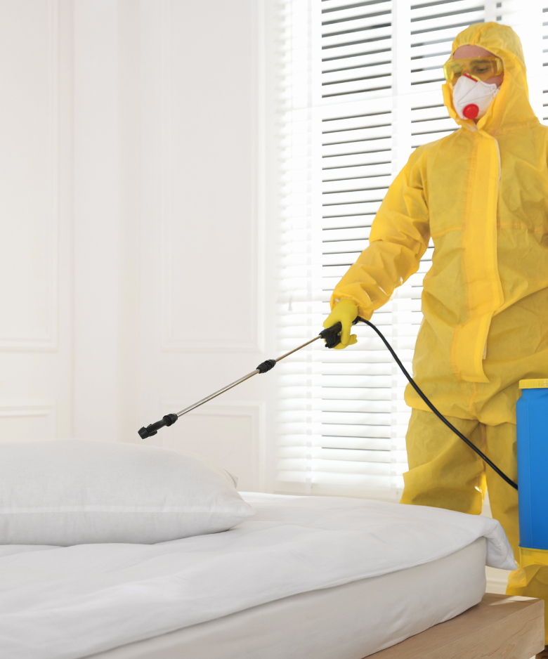 Professional Pest Control Team in Modbury Heights